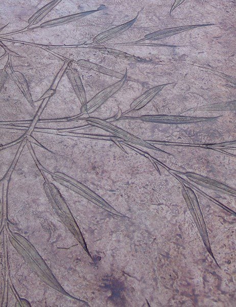 Seamless concrete texture skins for stamped concrete