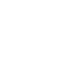 Check mark icon