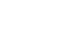 Secure Checkout icon